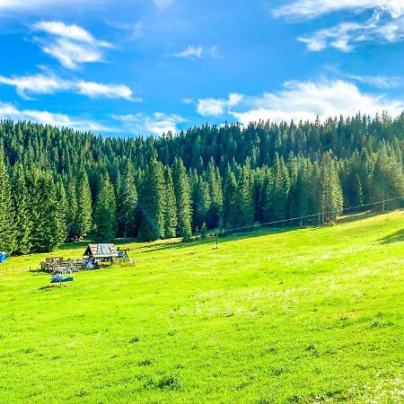 Chalet Ivi Villa Zgornje Gorje Dış mekan fotoğraf