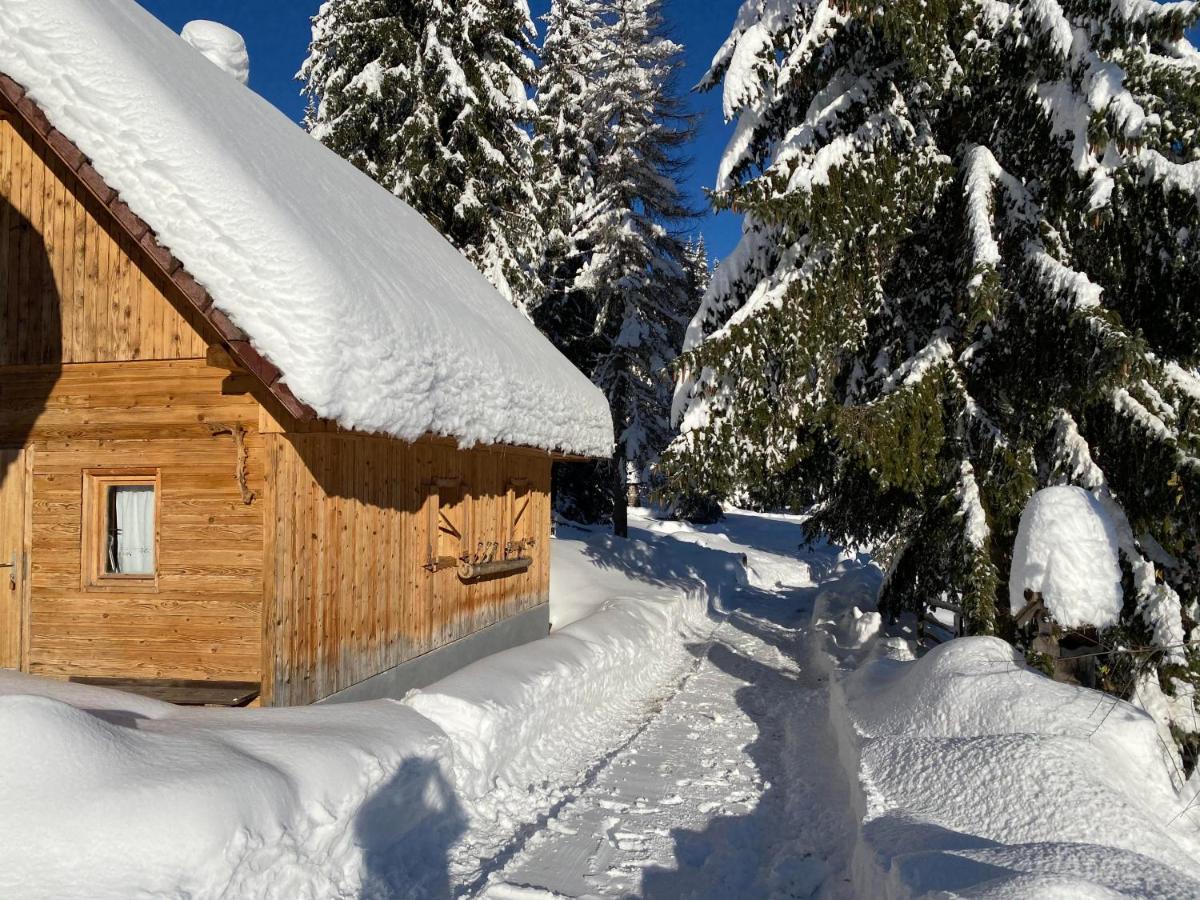 Chalet Ivi Villa Zgornje Gorje Dış mekan fotoğraf