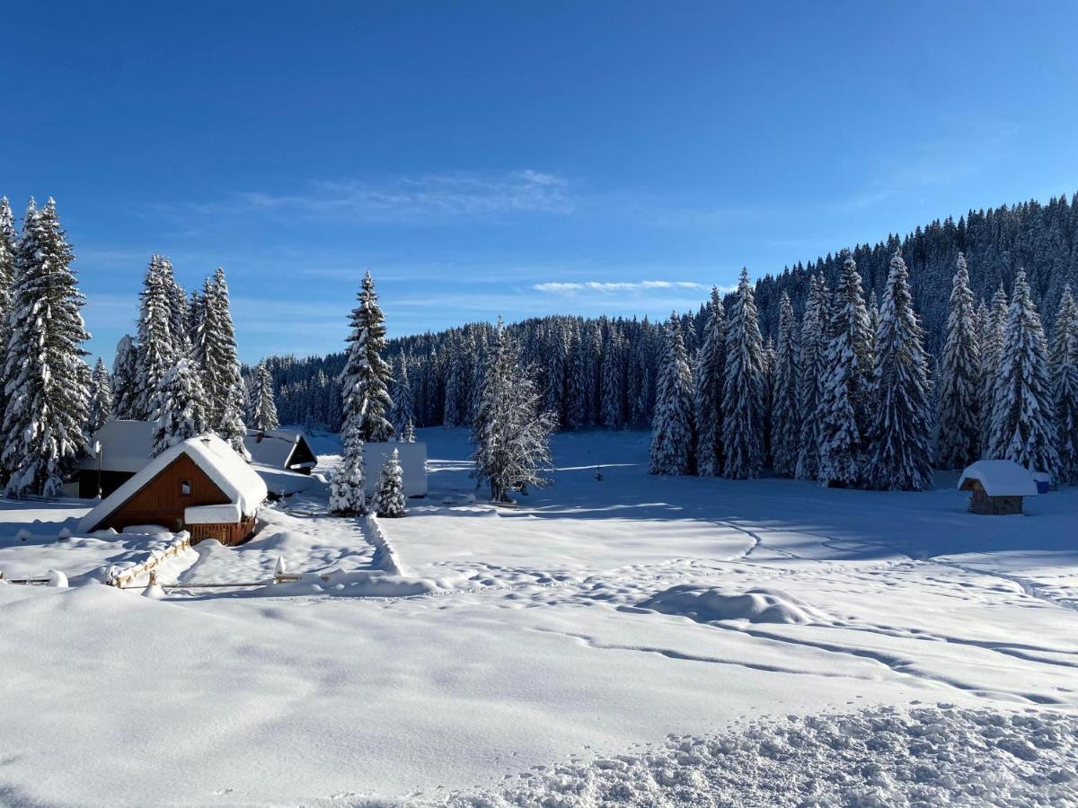 Chalet Ivi Villa Zgornje Gorje Dış mekan fotoğraf