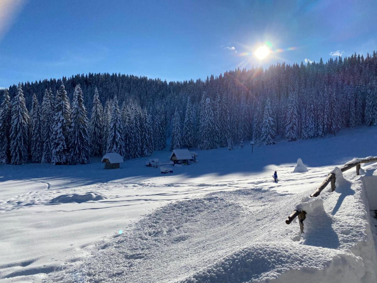 Chalet Ivi Villa Zgornje Gorje Dış mekan fotoğraf