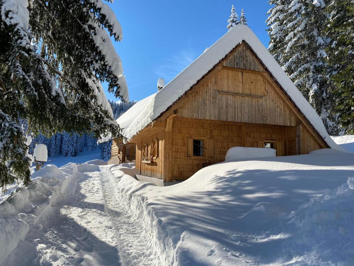 Chalet Ivi Villa Zgornje Gorje Dış mekan fotoğraf