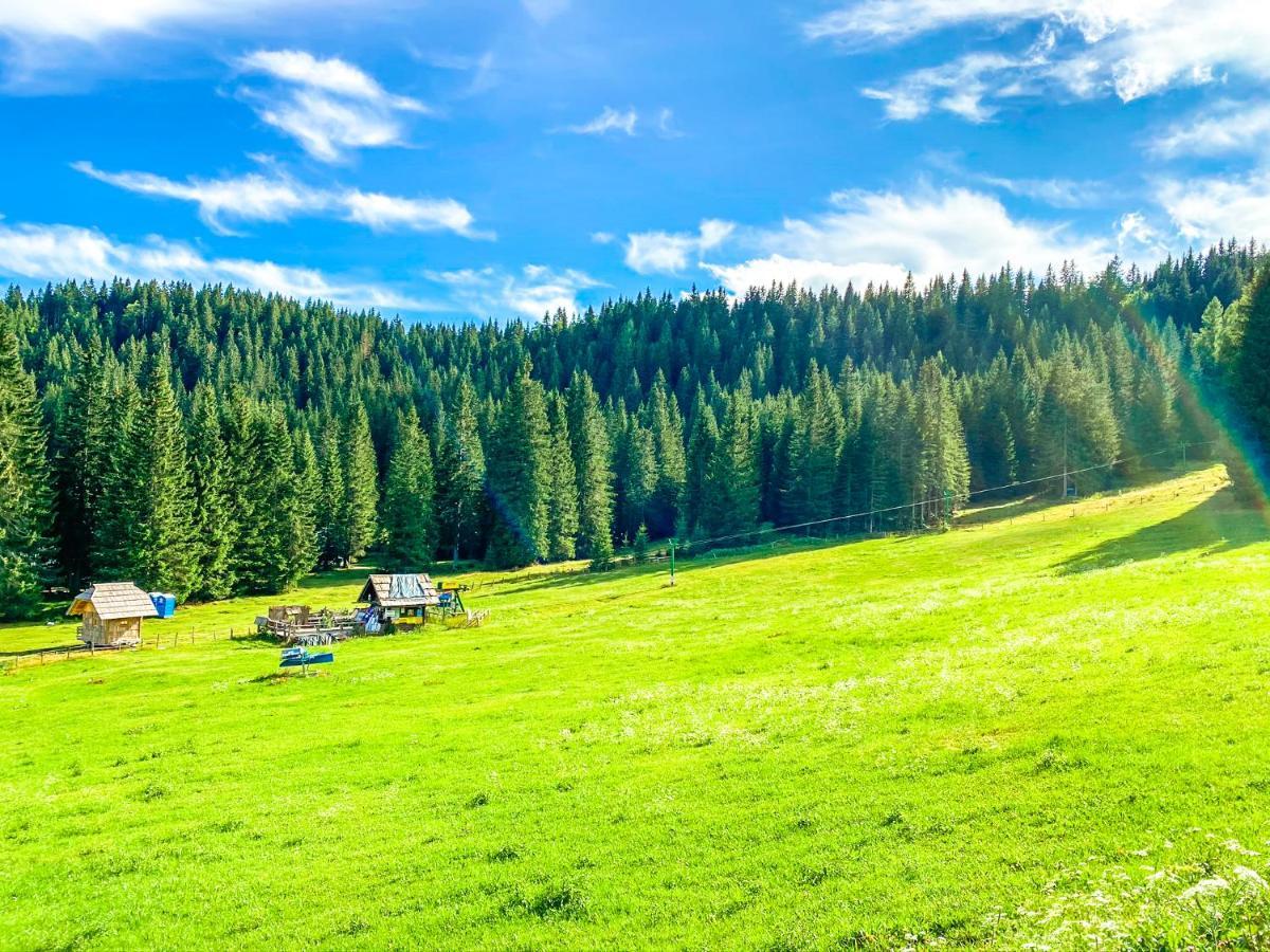 Chalet Ivi Villa Zgornje Gorje Dış mekan fotoğraf