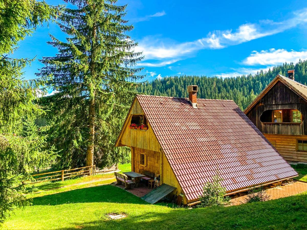 Chalet Ivi Villa Zgornje Gorje Dış mekan fotoğraf