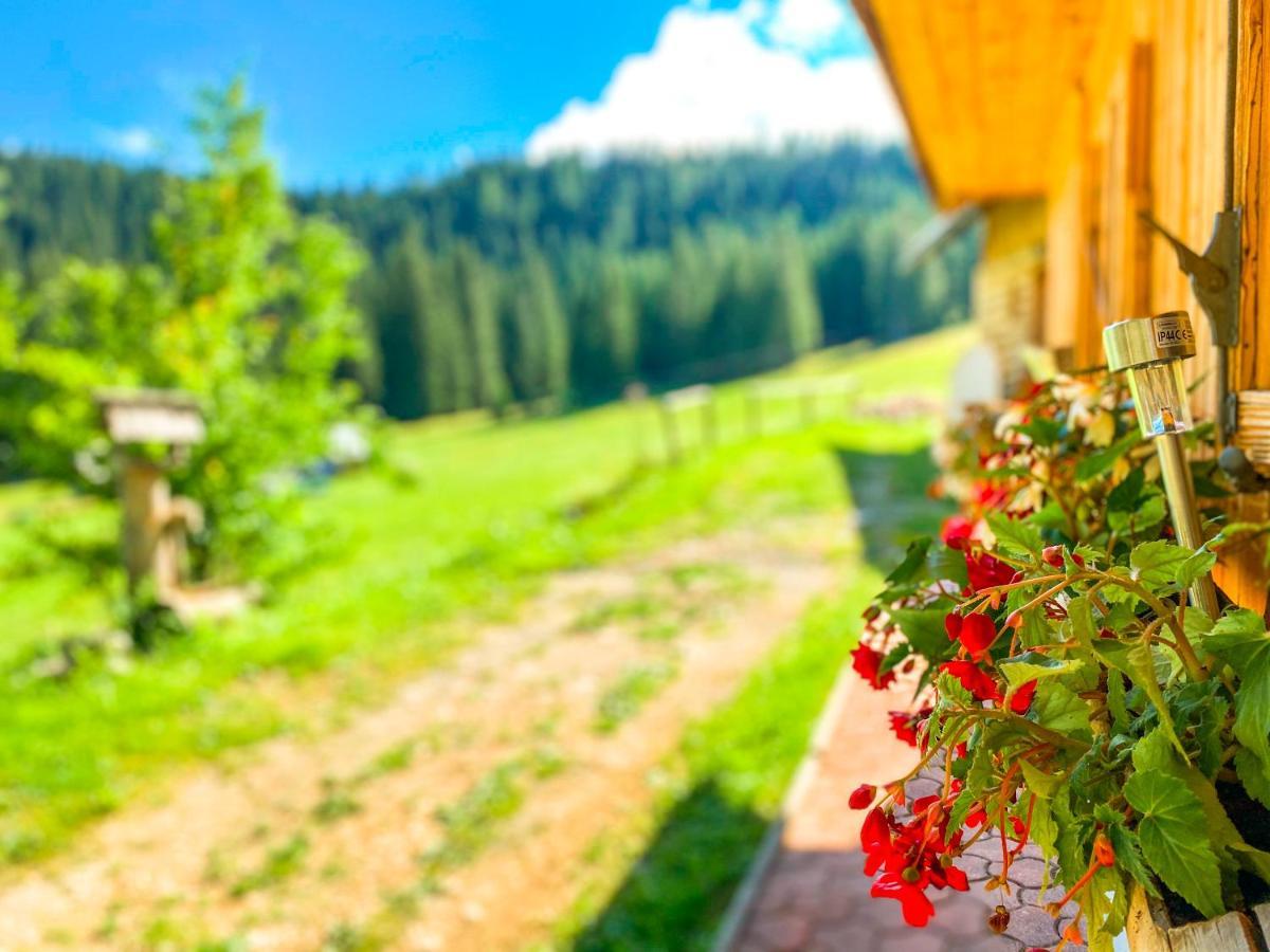 Chalet Ivi Villa Zgornje Gorje Dış mekan fotoğraf